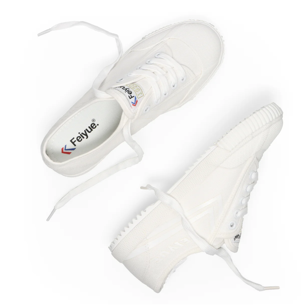 FEIYUE Shoes