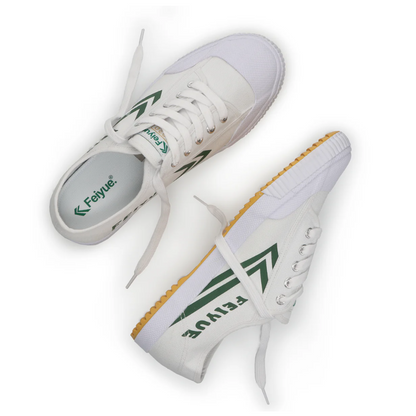 FEIYUE Shoes